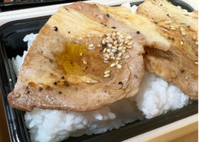 Garallery Tablet Pc 12 Izumi Expansion 01 Obento Madeyni